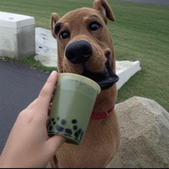 Skooby x CRACK- Matcha Bubble Tea