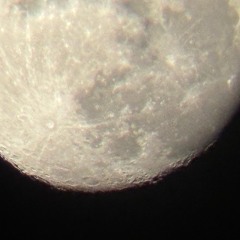 different [prodbycallus]