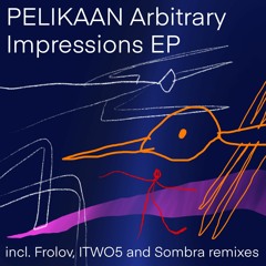PREMIERE : Pelikaan • Treasures (Itwo5 Remix) [Povilno Records]