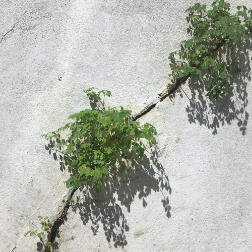 Sun In Your Head - May 2020