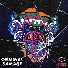 Criminal Damage