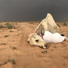 يا عمير ترا عروق قلبي معاطيش..  ‏تشدا لقاعٍ مبطيٍ عن رشاشه