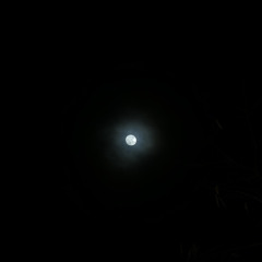 when the world stopped moving - lizzy mcalpine (cover)