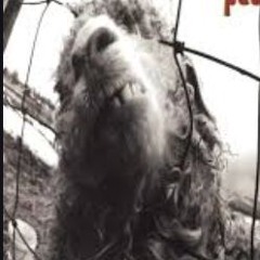 Eddie vedder blues