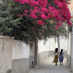 ‎⁨جینگ و جینگ ساز میاد. واسونک شیرازی⁩