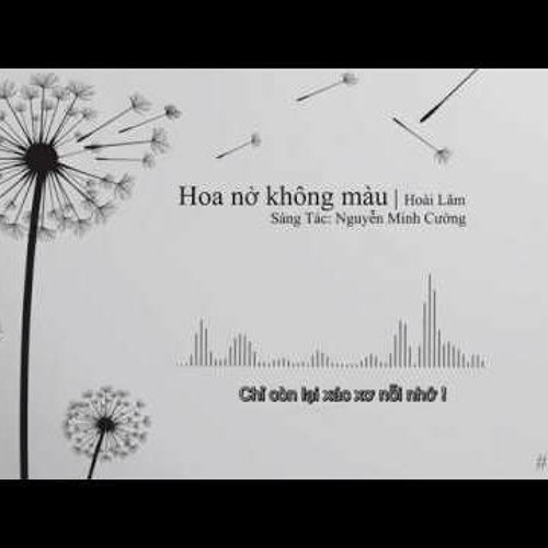 Hoa No Khong Mau - Hoai Lam