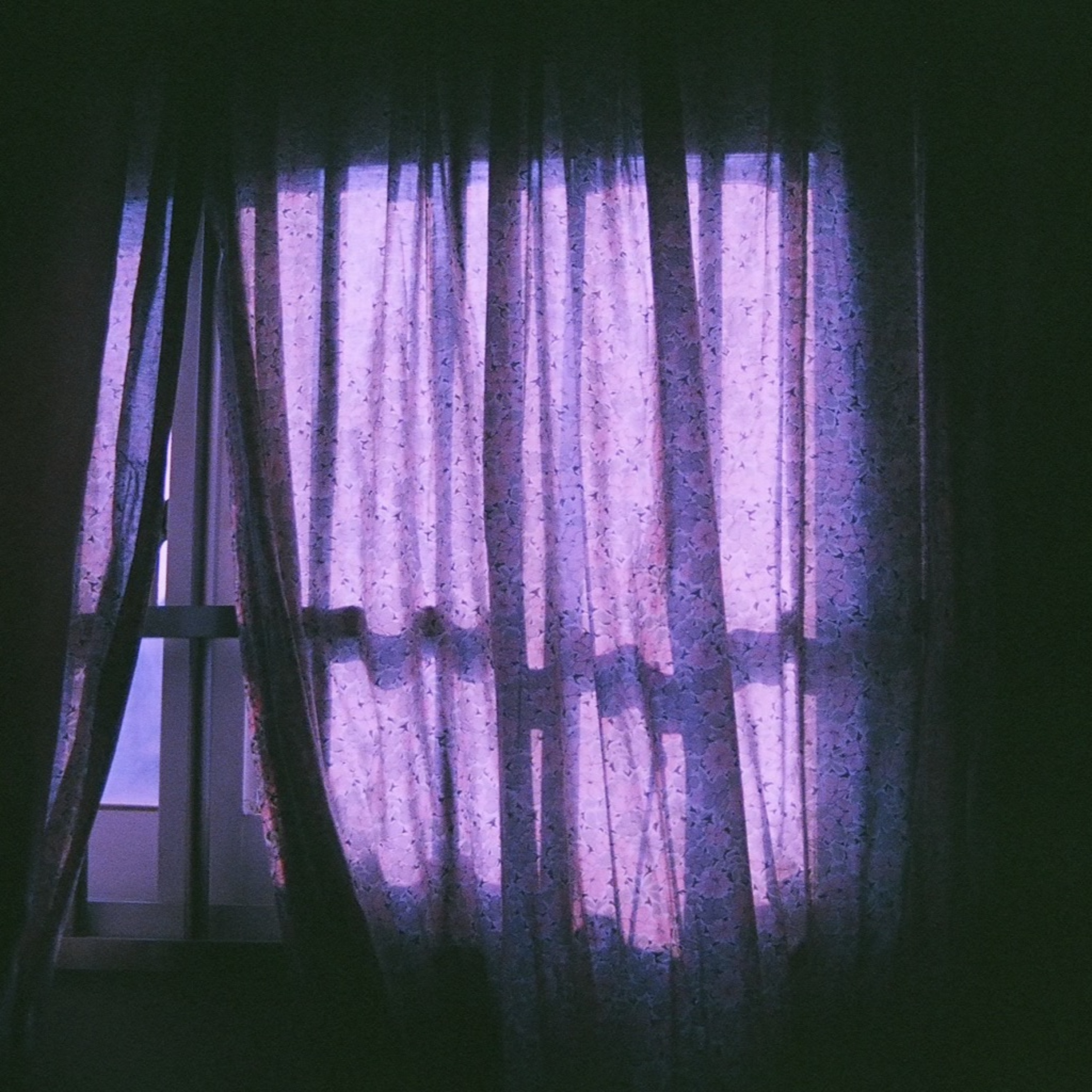 <녹스(Nox)>, 앤 카슨(Anne carson)reading episode artwork