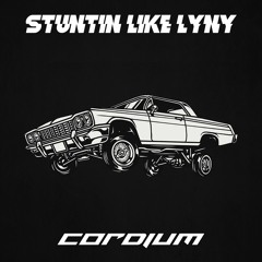 Stuntin' Like LYNY