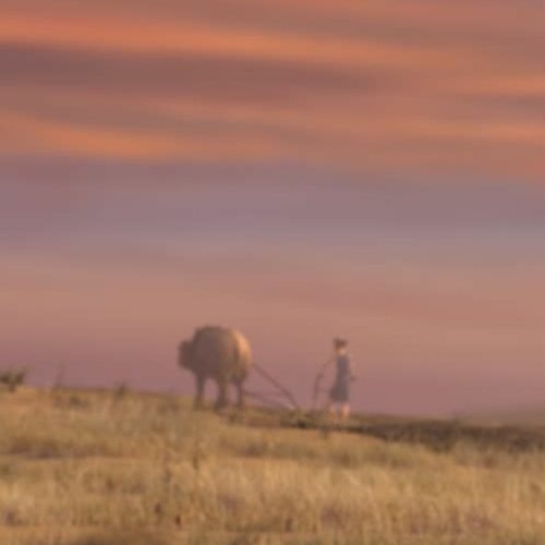 only imagine ألاصــــــل بيعمر والتقليد بيدمر وكفاا