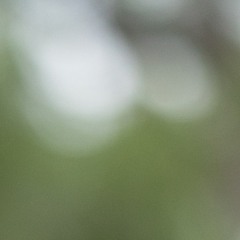 lovetheme3 v.01