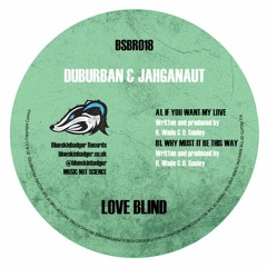 B1 - BSBR018 - Duburban-Jahganaut - Why Must It Be This Way