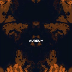 SHVD - AUREUM (Original mix) [FREE DL]