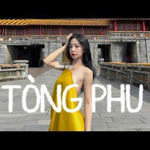 Tòng Phu Remix | VER 2 [keyo Đại Mèo remix] vì quá ngu si hay vi em đã yêu vội vàng remix