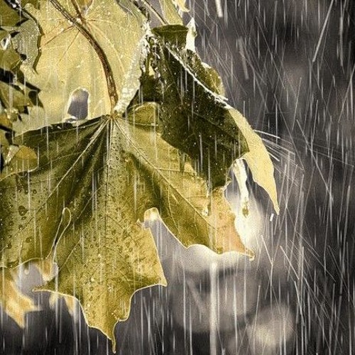 Rainy Day(M) - Riz Angel
