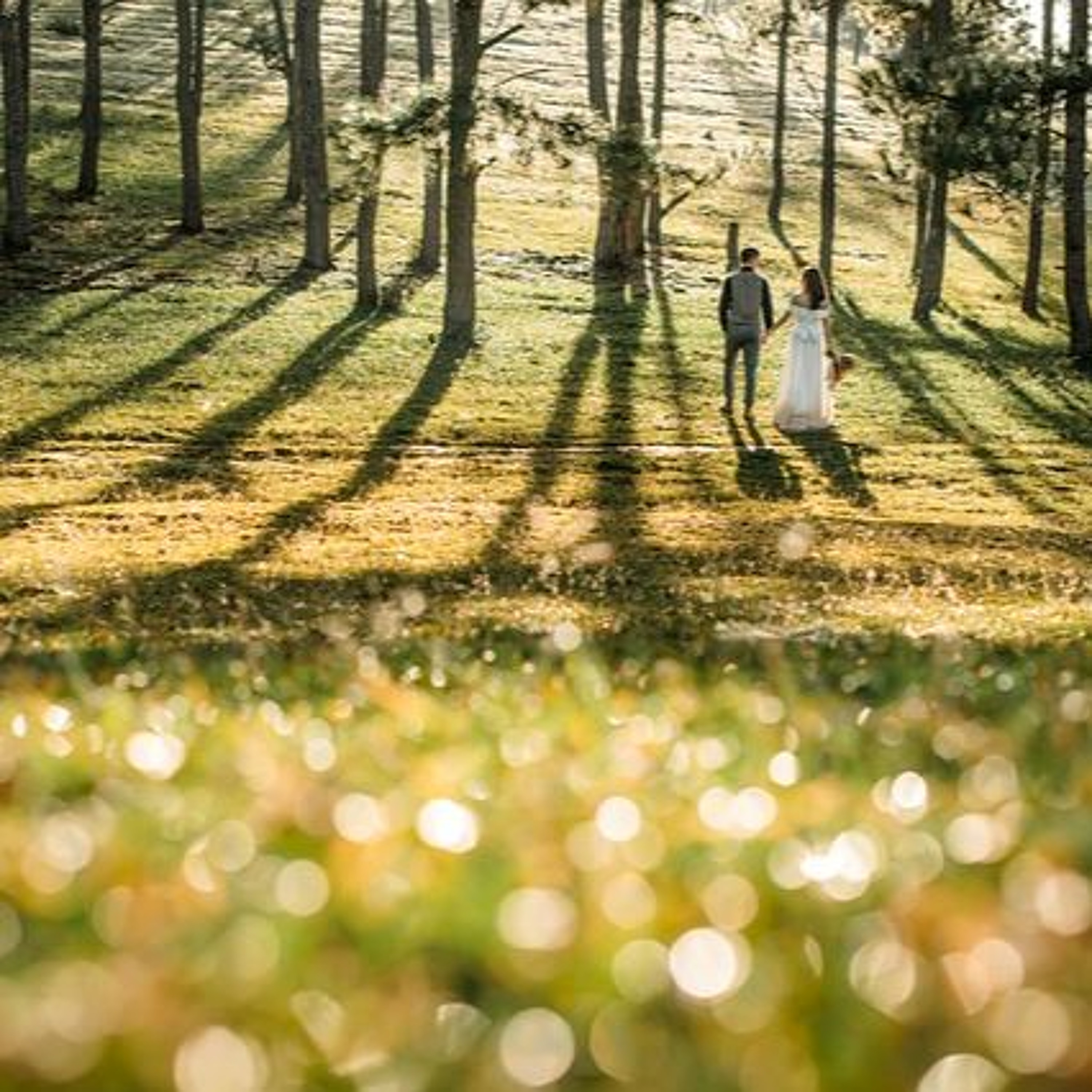 WEDDING BELLS IN THE HOLY LAND - Lighten Up!