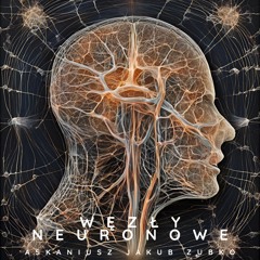 Węzły Neuronowe
