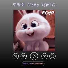 토깽이 (ECHO VIP REMIX)