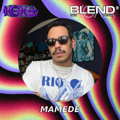 XOXA BLEND 236 - Mamede