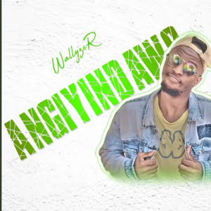 WalezA - Angiyindawo