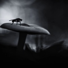 DARKPLACE