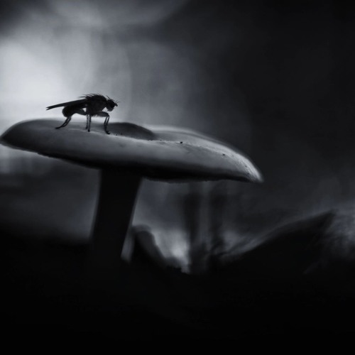 DARKPLACE