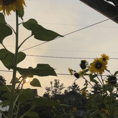 super seed (galleryrip)