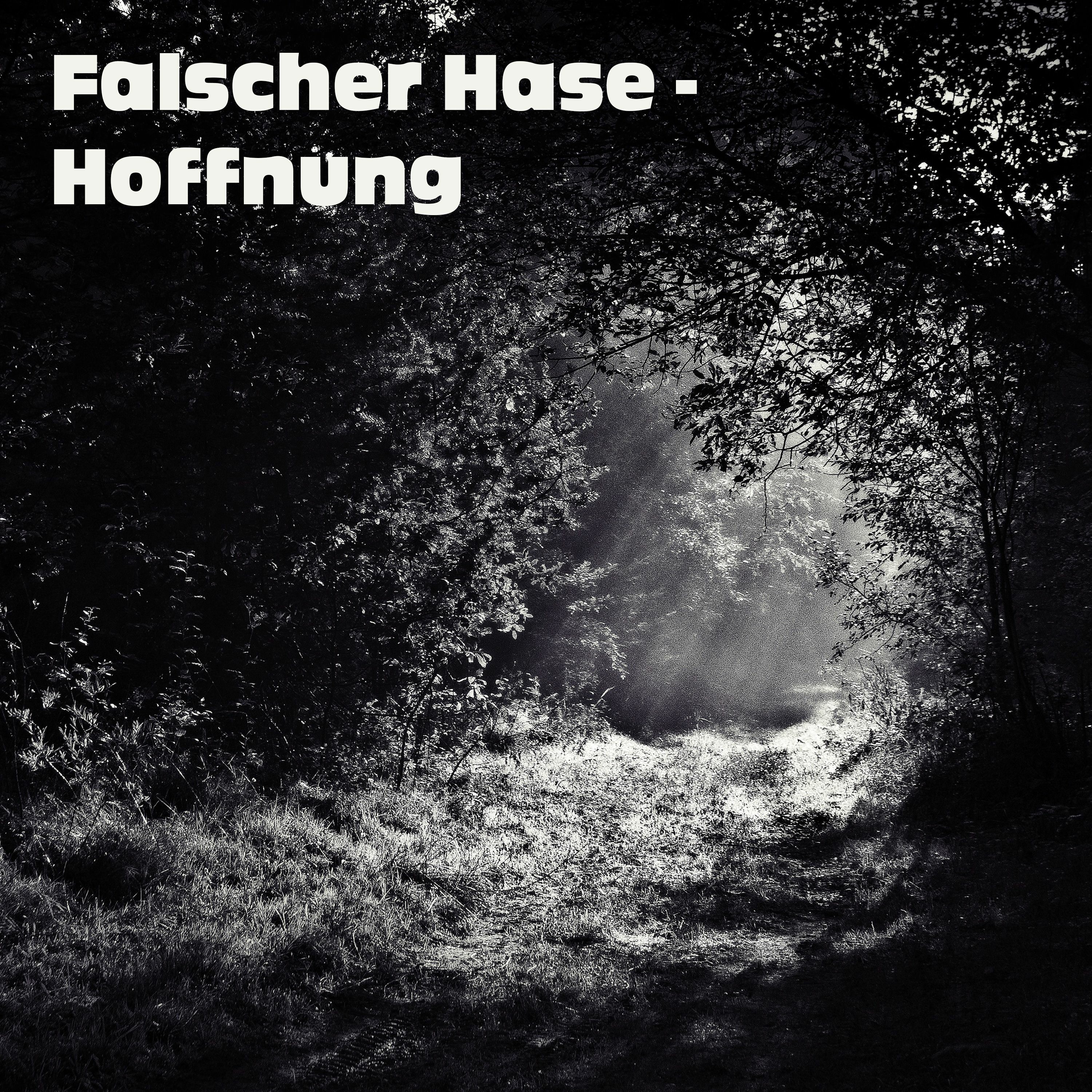 Falscher Hase – Mixe, Podcasts & Livemitschnitte