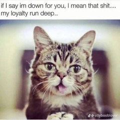 Tilwemeetagain (prod.cursed)