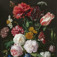 OCC- (OurCellphoneComputers)