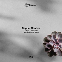 Premiere : Miguel Seabra - Silhouette (Ki.Mi. remix) (DAM13)