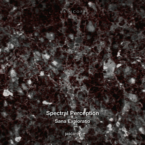 PREMIERE: Spectral Perception - SP010 (Traversable Message Remix) [Artscope]