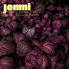 Jemmi - Camelia