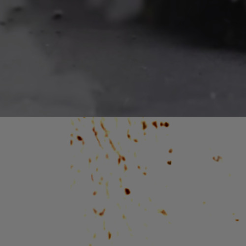 6cd90709-cc16-4354-8367-477fc435dec5