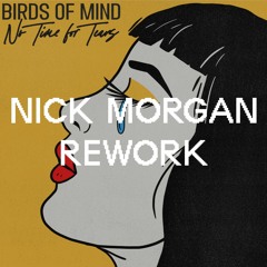 Birds Of Mind - No Tears (Nick Morgan Rework)