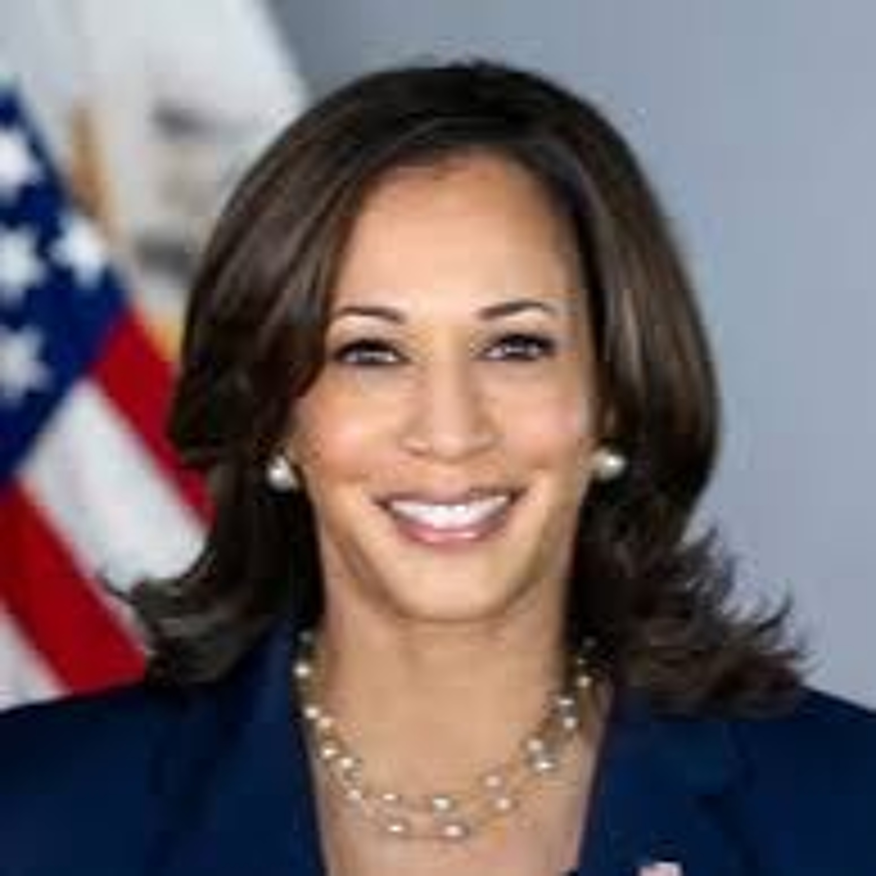 Election Connection | Kamala Harris, J.D. Vance, KY Amendments | 8-6-24 episode artwork