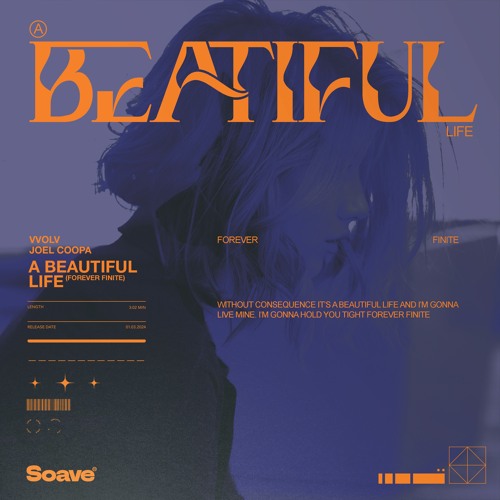 vvolv & Joel Coopa - A Beautiful Life (Forever Finite)