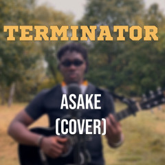 Asake - Terminator *Acoustic Cover by Vince Zakari .mp3