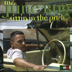 Mr. June Bug - Sittin' In The Park (2000)