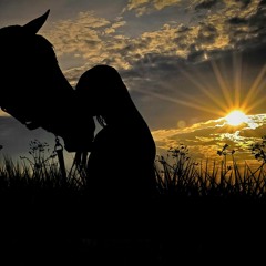 Ride Into A Foreign Sun