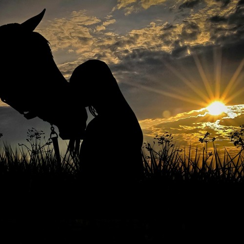 Ride Into A Foreign Sun