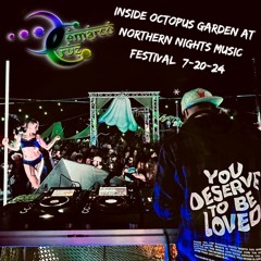 Northern Nights Festival - Inside Octopus Garden 7-20-24