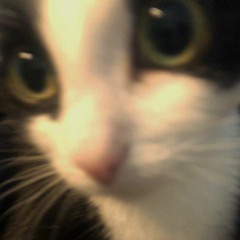 be with u <3 [@yungspoiler]