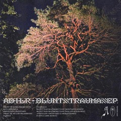 SYN Premiere: ADILR - Anhallen I Franvaro (Larsson Remix) [RFR005]