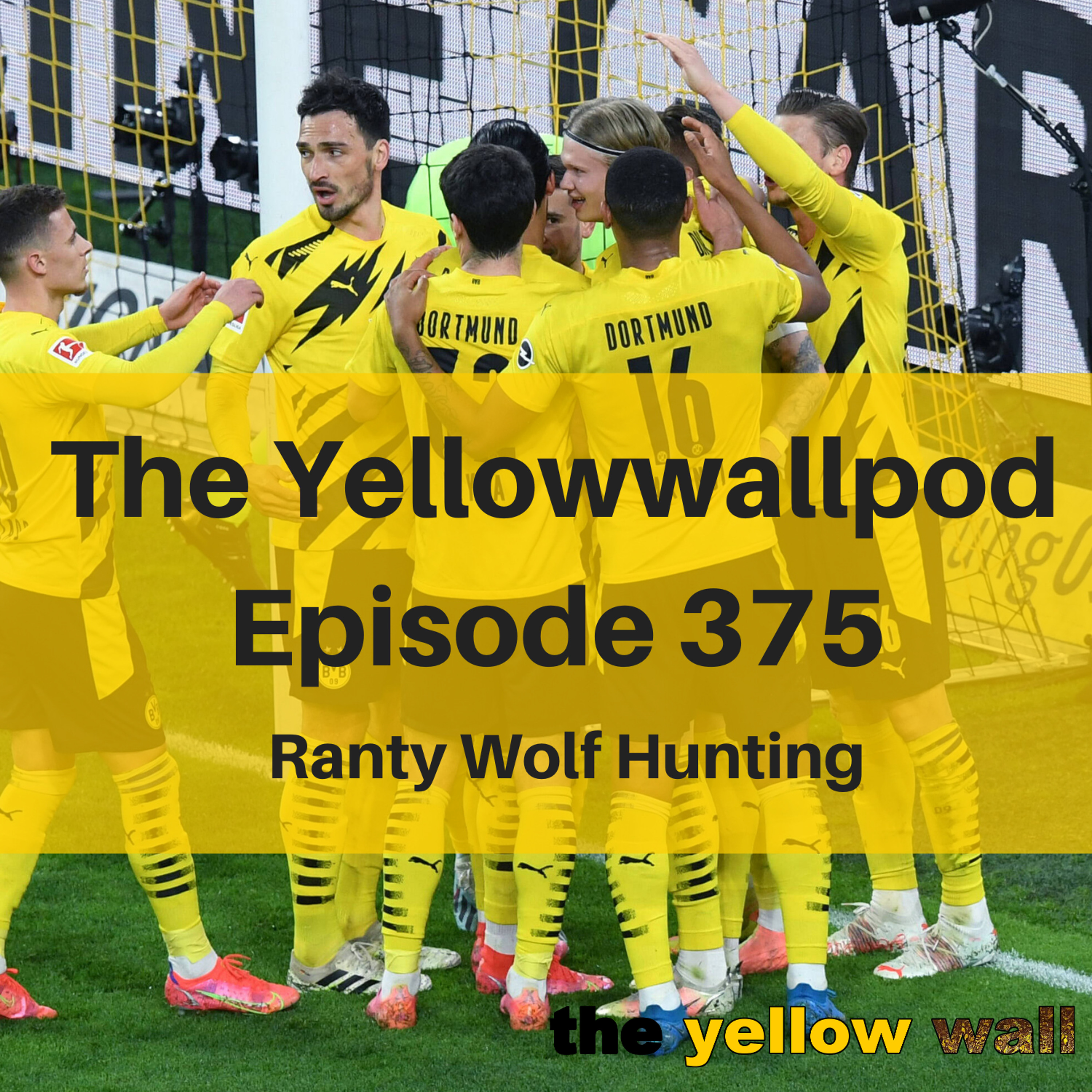 Yellowwallpod