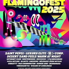 Flamingo Fest 2025 Event (lo-fi house DJ set)