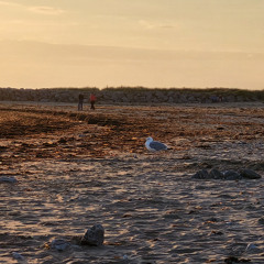 Warmth of the Setting Sun