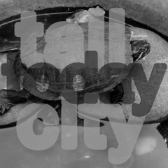 Tall City - Today