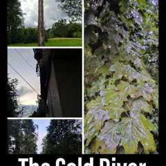 The Cold Diver