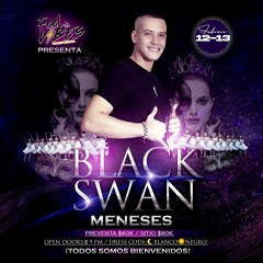 PROMO BLACK SWAN MATEO MENESES DJ - FEEL THE VIBES