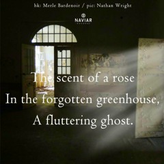 A fluttering ghost [naviarhaiku483]